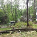 Trees removal in front of house