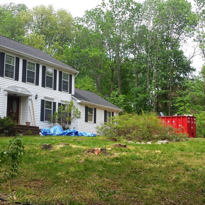 Tree removal in front house after
