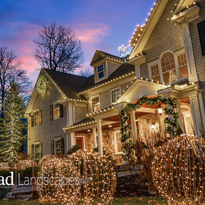Holiday lighting home/trees and greenery