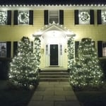 Roofline, Trees & Greenery