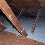 Insulation 03