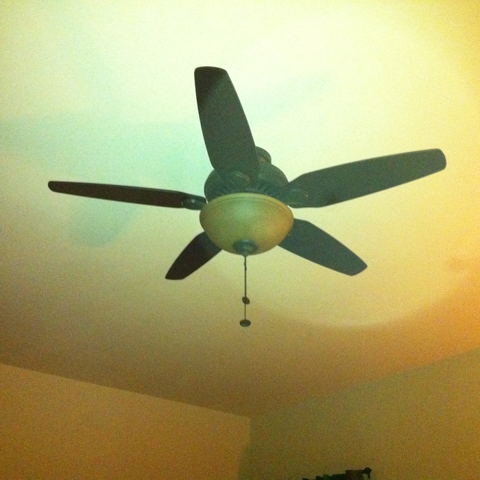 New gorgeous fan for living area