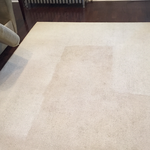 Carpet Cleaning