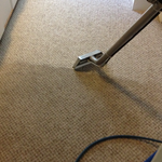 Carpet Cleaning