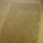 Carpet Cleaning