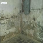 30 YEAR OLD BASEMENT