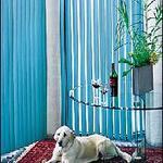 Vertical Blinds