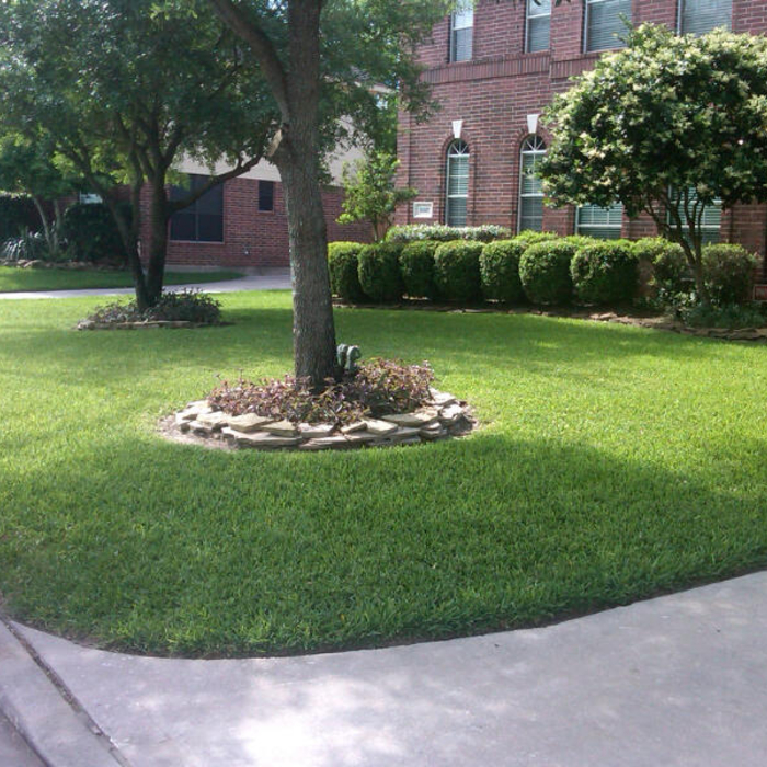 2011