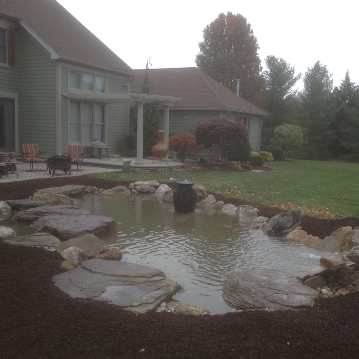 Before Addition of Aquatic Plants