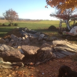 Adding Stepping Stone