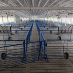 Livestock building