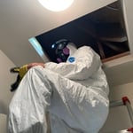 Mold Inspection
