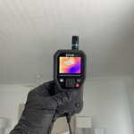 Mold Inspection