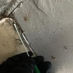 Mold Inspection