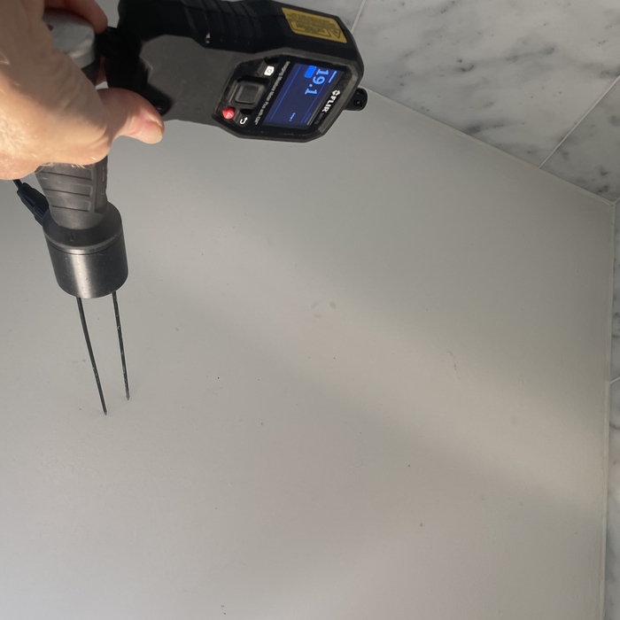 Mold Inspection