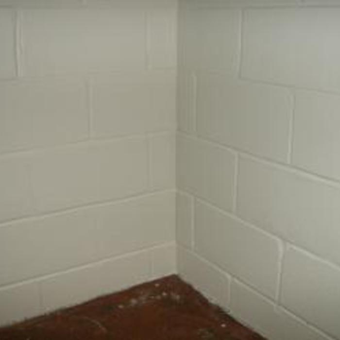 Wall painted with mold mildew resistant paint