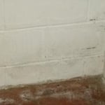 No downspouts led to water leakage and mold