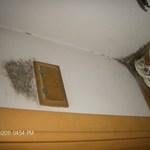 Mold from lack of insulation