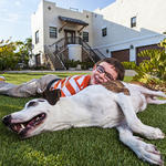 Perfect for Kids & Dogs!