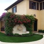 Garden Lawn