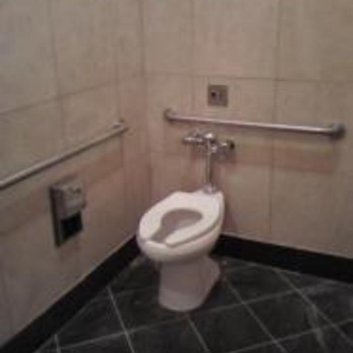 Commercial Water Closet