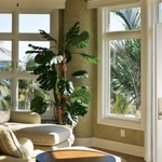 Other windows