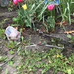 Tripping breaker repaired, power restored