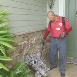 15 Point Home Protection Program