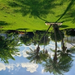 Residential Lawn