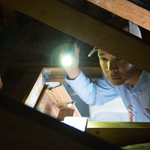 Attic Inspection