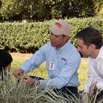 Lawn Inspection