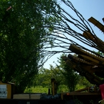 Untitled Gallery 2