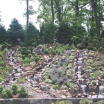 Another Backyard pond