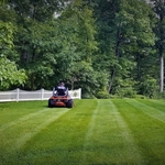 Beautiful Manicured Lawn