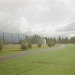 Black Chain Link Fence