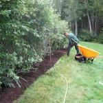 Garden Mulching