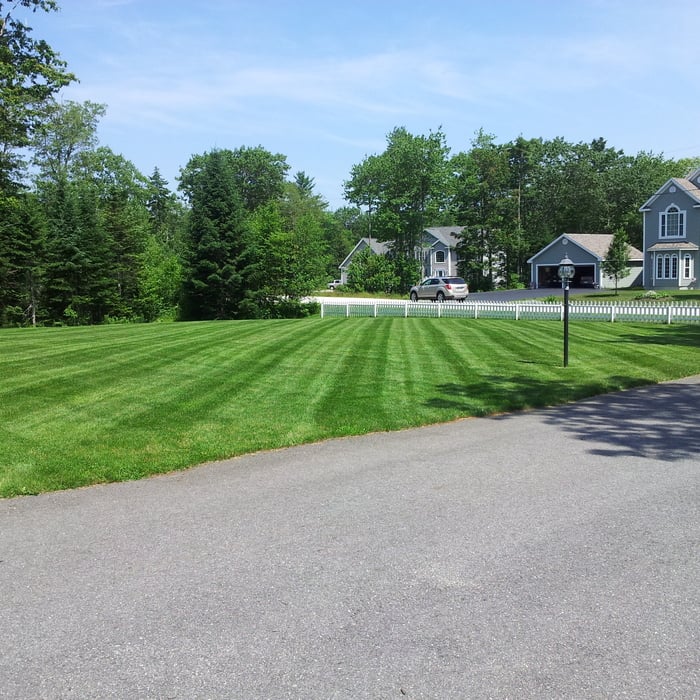 Finished lawn