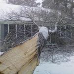 From a recent storm
