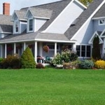 Healthy Grass and Soil!