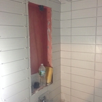 shower body