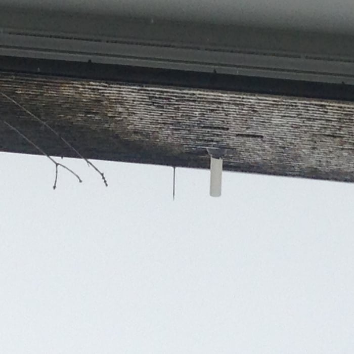 Roof half treated