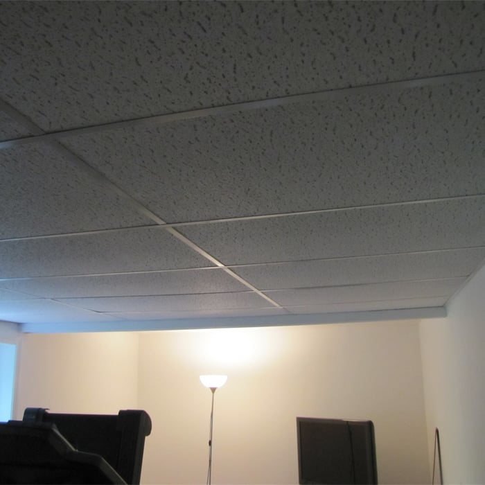 Basement Cielings (Finished)