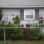 before photo
