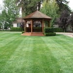 Lawn and Landscape Maintenance