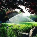 Lawn Care 2