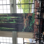 Restorant, Metuchen, NJ