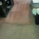 Carpet Cleaning