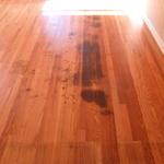 Stains prior to sanding
