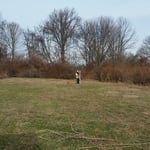 Boundary Stake Out