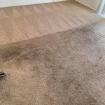Carpet Cleaning